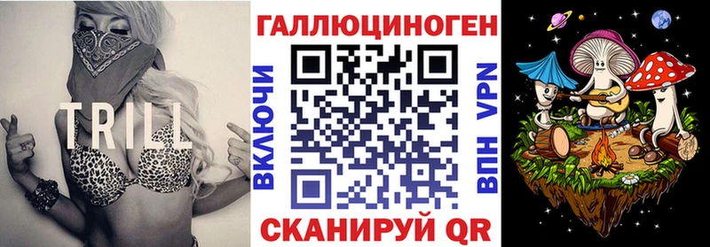 Галлюциногенные грибы Psilocybe  Купить  Талдом 