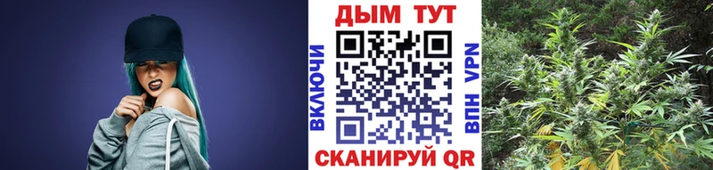 Купить закладки  Талдом  Бошки марихуана AK-47 